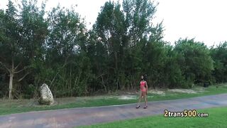 Busty tranny slut enjoy group fuck