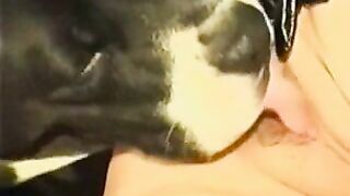 BFI - Fetish Dog