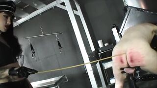 Cybill Troy In Caned Workhorse