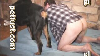 Big Black Dog Fucks Gay Asshole