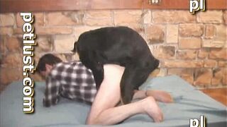 Big Black Dog Fucks Gay Asshole
