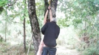 Tied up to a tree, lashed and penetrated