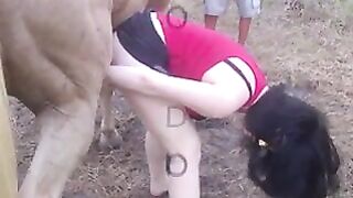 Vixen And Her Horse